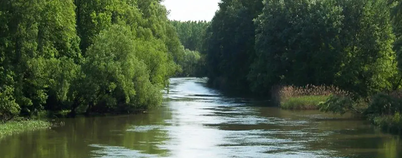 Horgássz kajakból a Mosoni - Dunán