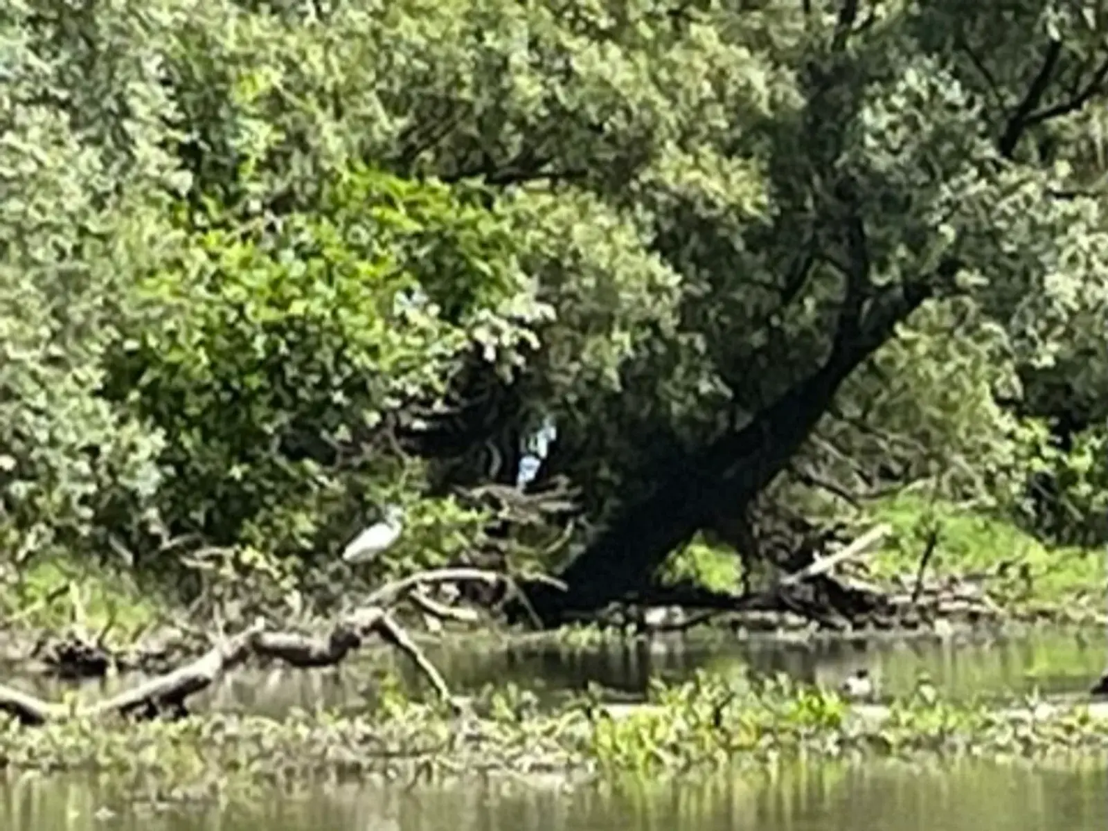 A vadregényes Neszmélyi Szigetek rejtőzködő kincseinek nyomában